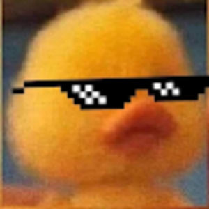 Meet your Posher, Amelia